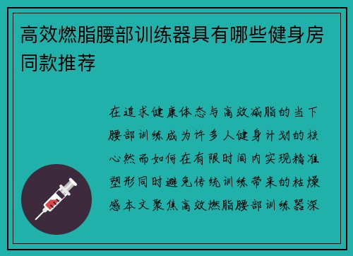 高效燃脂腰部训练器具有哪些健身房同款推荐
